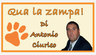 Schermata 2021 02 14 alle 10.22.14