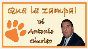 Schermata 2021 02 21 alle 10.47.13