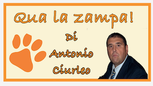 Schermata 2021 02 28 alle 10.58.39