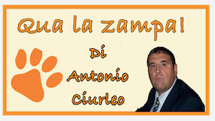 Schermata 2021 03 14 alle 10.23.31