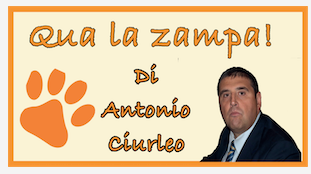 Schermata 2021 04 04 alle 10.14.21