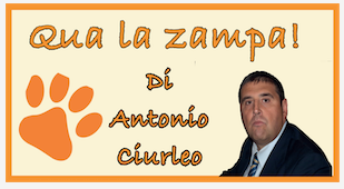 ciurleo