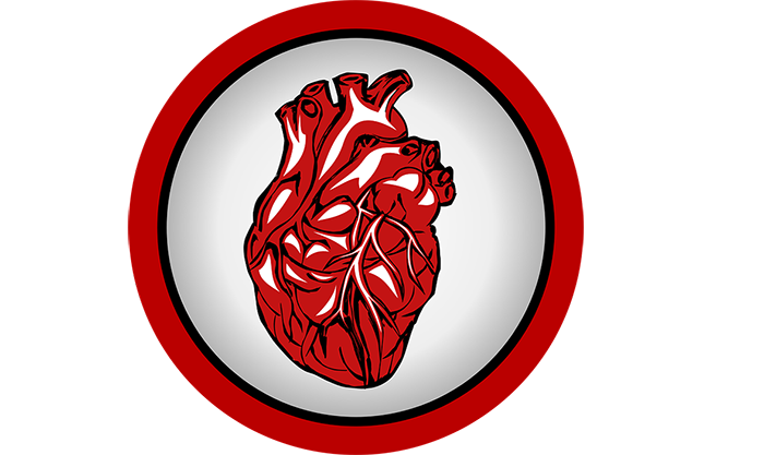 cuore medicina