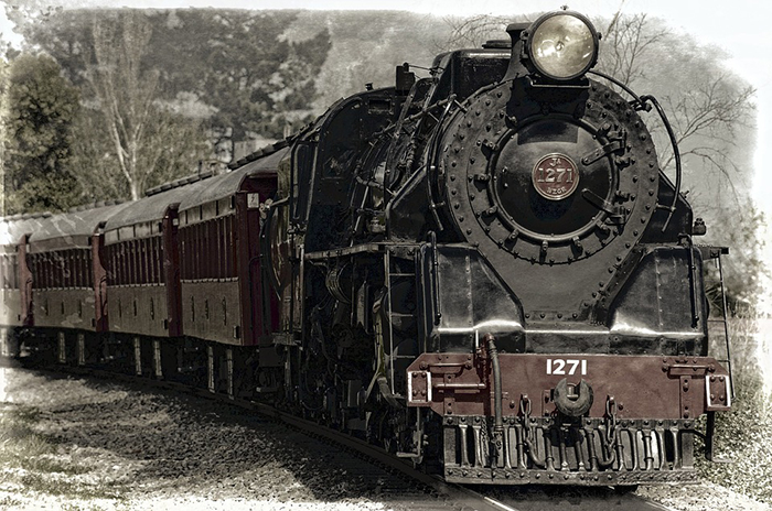 locomotore