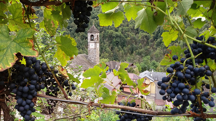 medali ossola rurale 1