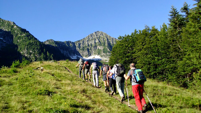pizzo ragno fabbri