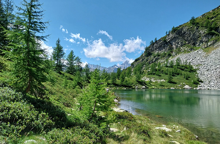 lago agro fabbri