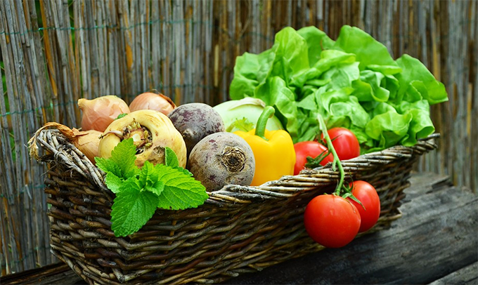 agricoltura