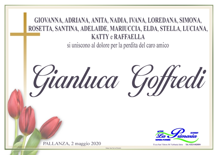gianluca goffredi